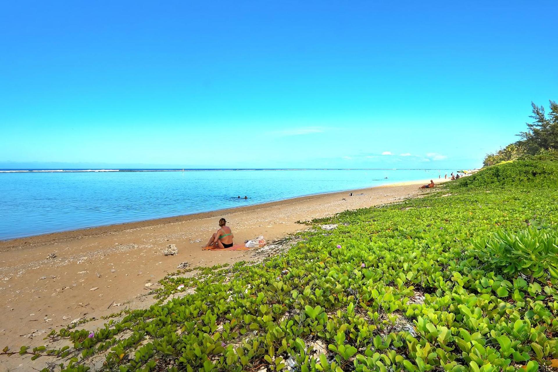 Exceptionnel ! Le Kazuarina, Tres Bel Apt F3 A 50M De La Plage De La Saline Le Bains Esterno foto